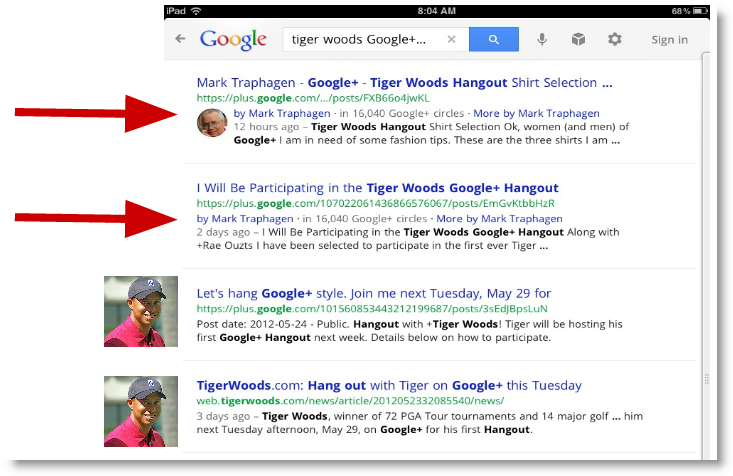 Google Plus Google Search Results