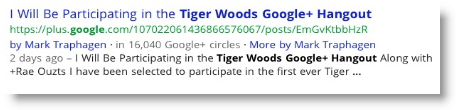 Tiger Woods Google Plus Hangout