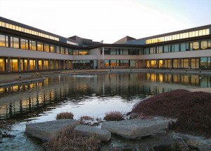 kauffman foundation