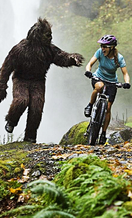 Why Google Author Rank is the Sasquatch of SEO