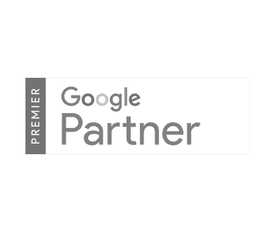 Google Partner - Hive Digital Marketing