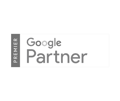 Google Partner - Hive Digital Marketing