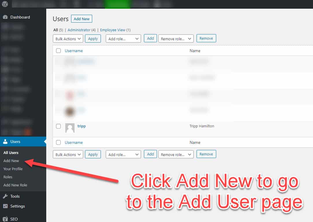 Fig 1 how to add user to wordpress