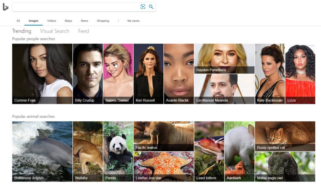 remove images from bing