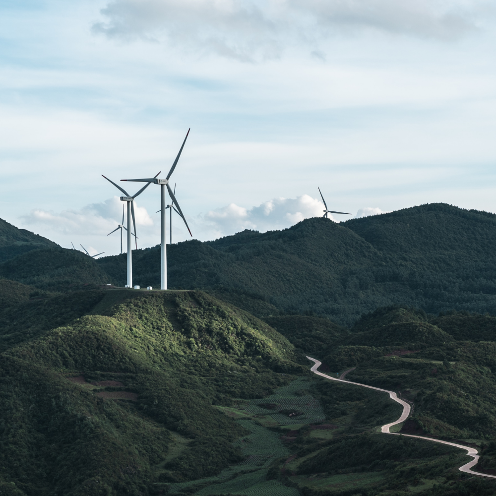 Carbon Neutral