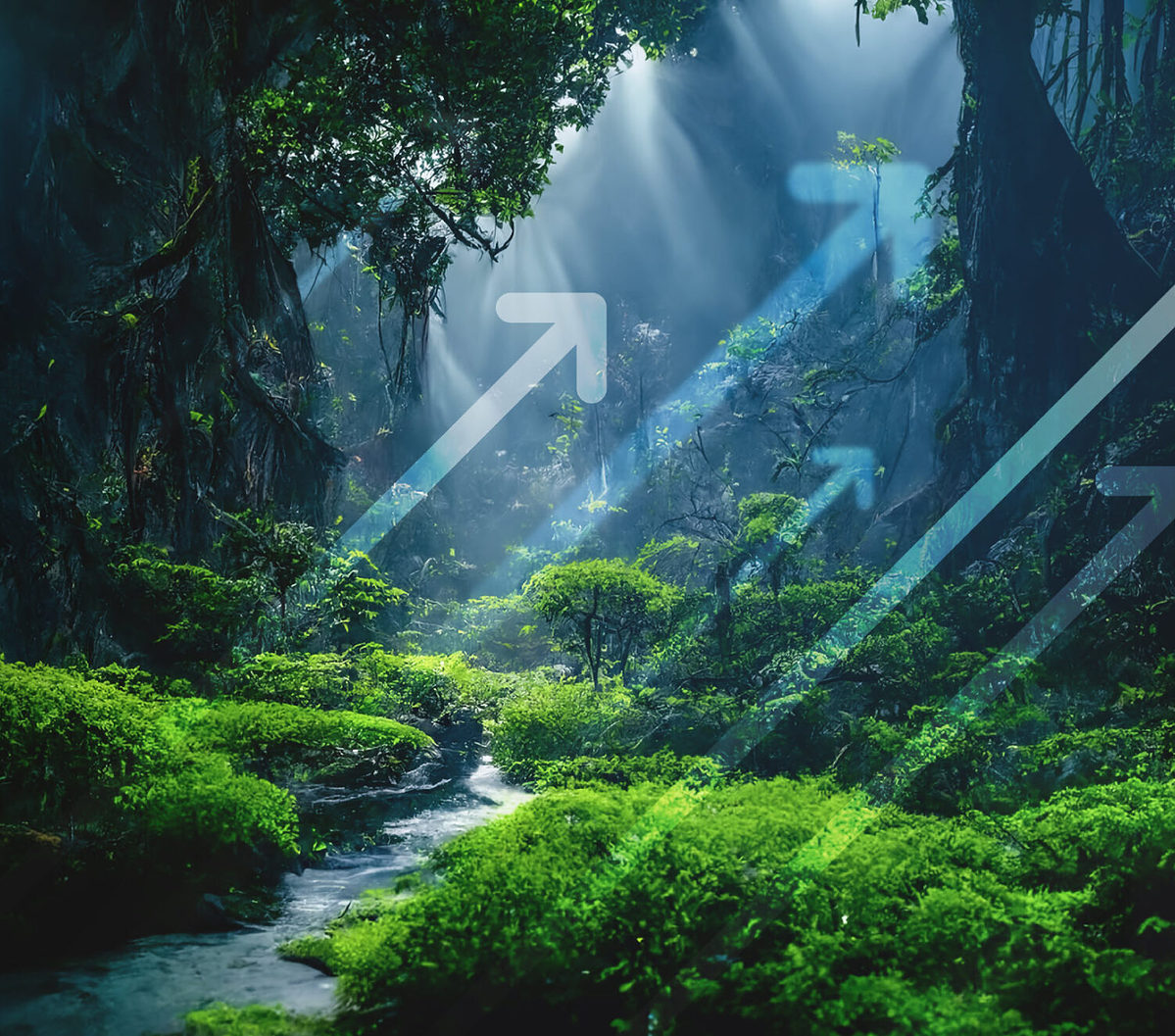 The Biggest Social Media Updates and Trends in Q4 2024 | Hive Digital