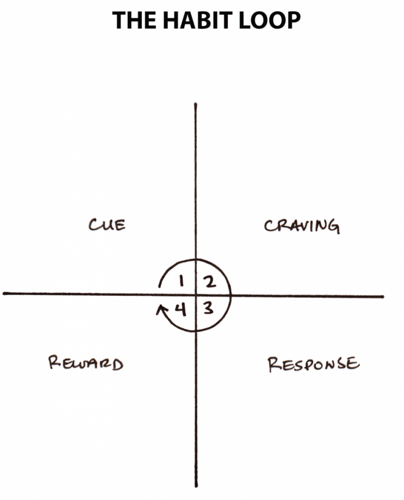 A cycle of phases that cause habits indicated by 4 quadrants with a circular arrow