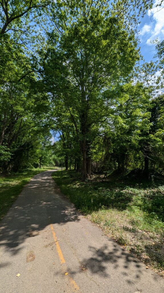 picture of the walking trail