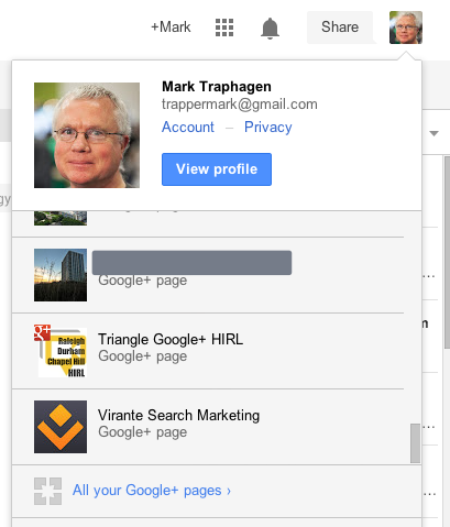 Select a Google Plus page profile