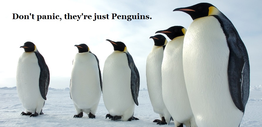 dontpanic-penguins