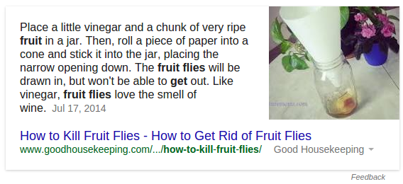 how to get rid of fruit flies