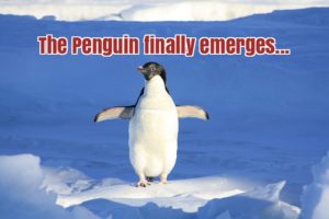 Google Updated Penguin